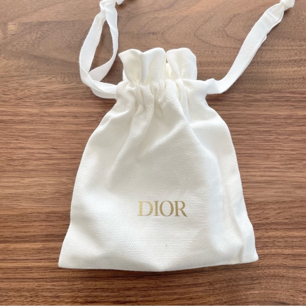 Dior Small Pouch